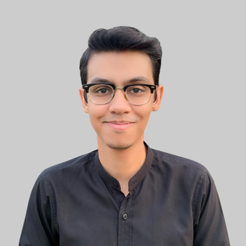 Hasan Naqvi